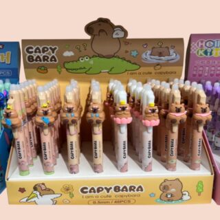 Lapiceras Tinta Borrable Retráctil Capibara